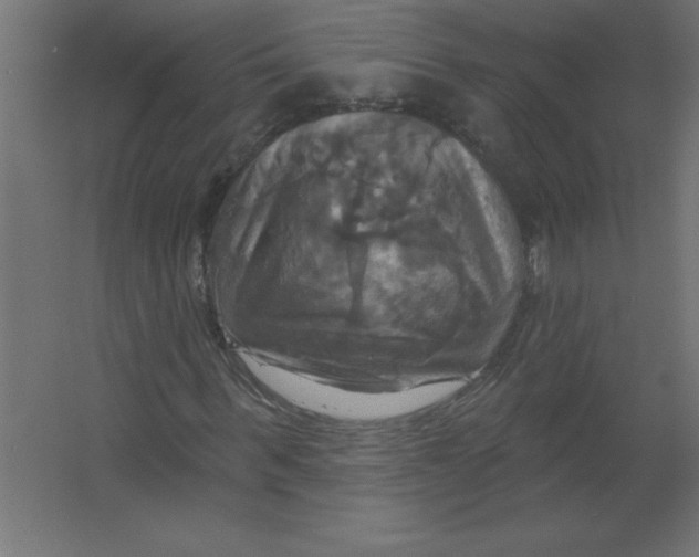 X0000067350963200604211957