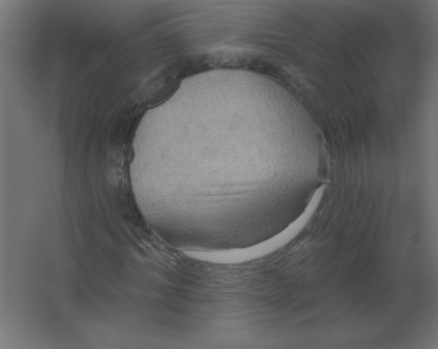 X0000067350964200604211957