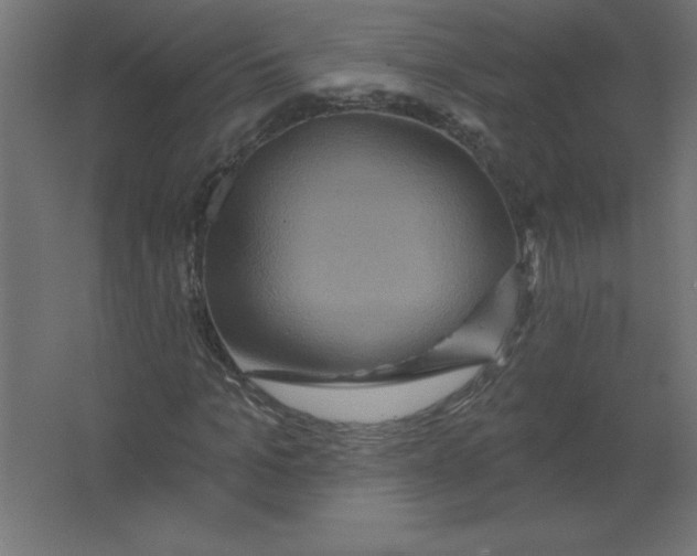 X0000067350965200604211957