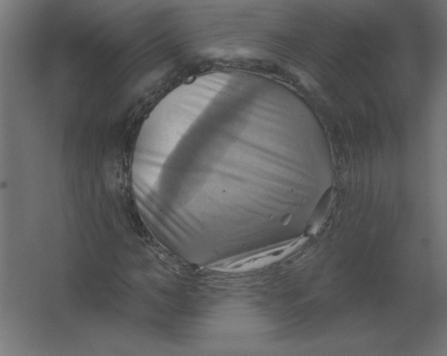 X0000067350966200604211957