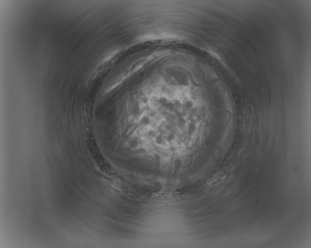 X0000067350967200604211957