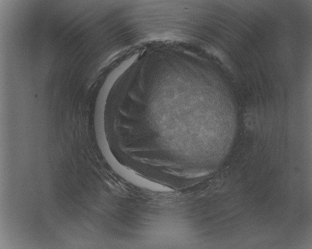 X0000067350968200604211957