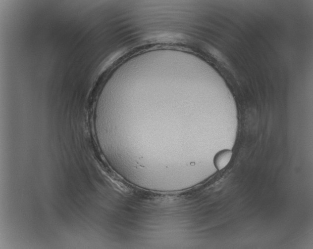 X0000067350970200604211957