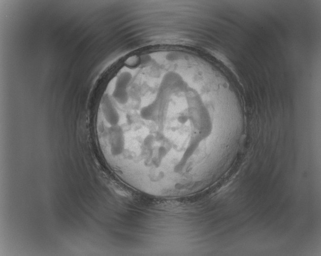 X0000067350971200604211957