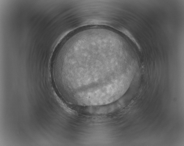 X0000067350972200604211957