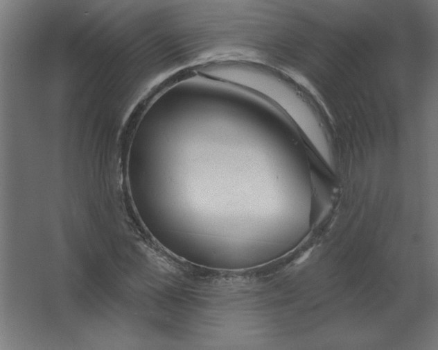 X0000067350973200604211957