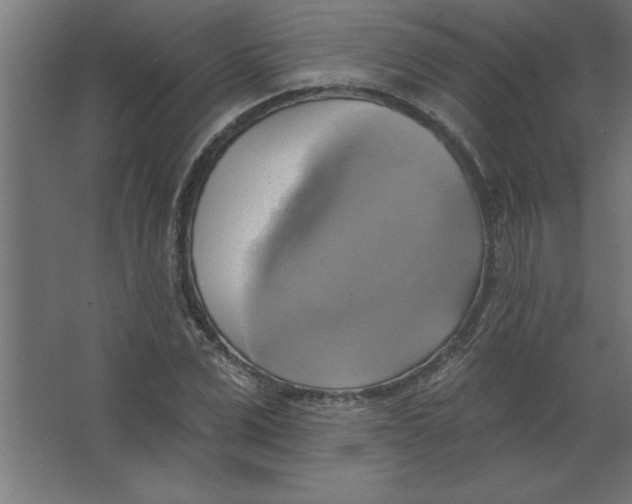 X0000067350975200604211957