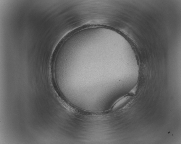 X0000067350976200604211957