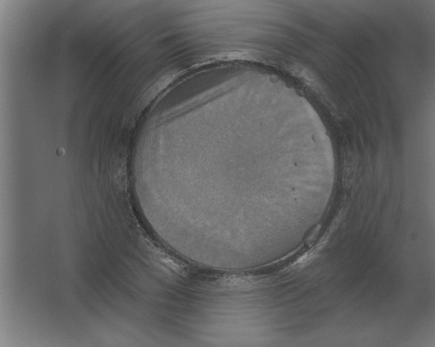 X0000067350977200604211957