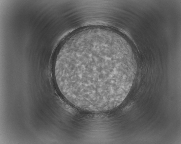 X0000067350979200604211957