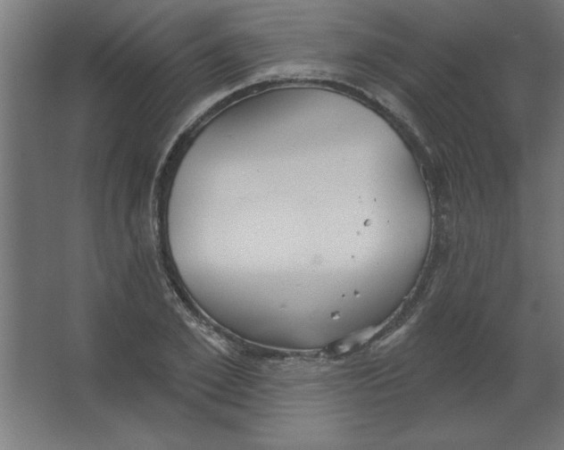 X0000067350981200604211957