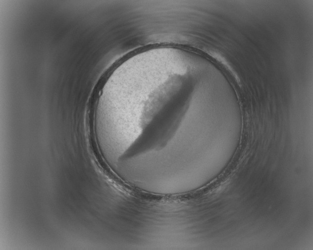 X0000067350983200604211957