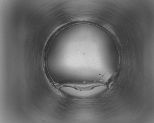 X0000067350984200604211957