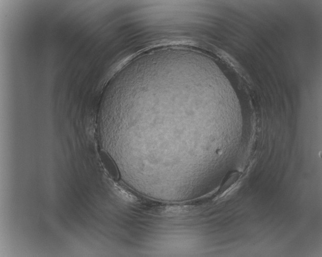 X0000067350985200604211957