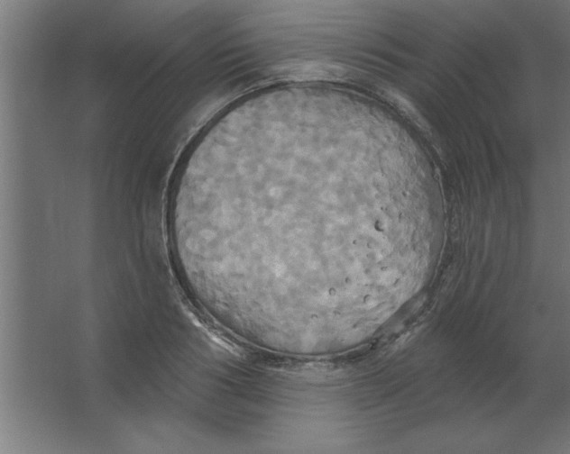 X0000067350986200604211957