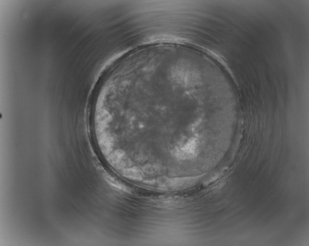 X0000067350987200604211957