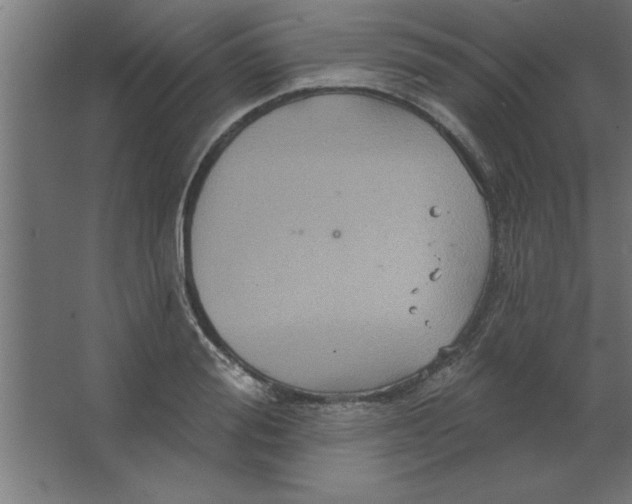 X0000067350988200604211957