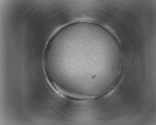 X0000067350989200604211957