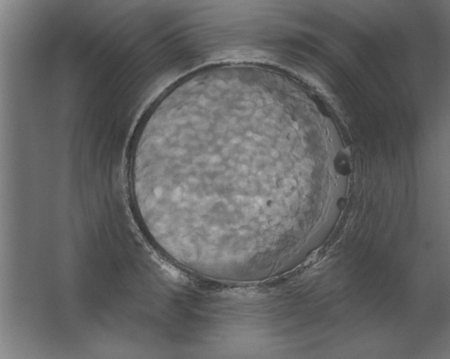 X0000067350990200604211957