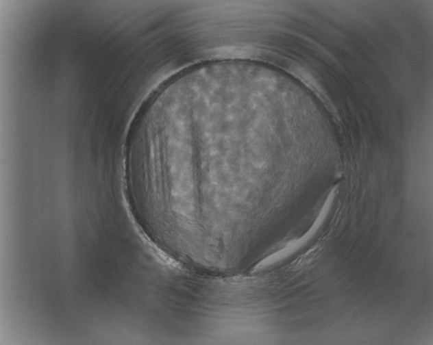 X0000067350992200604211957