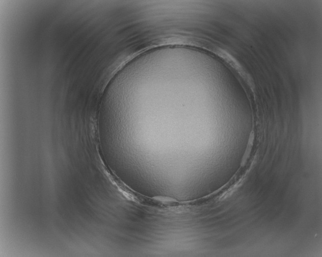 X0000067350993200604211957