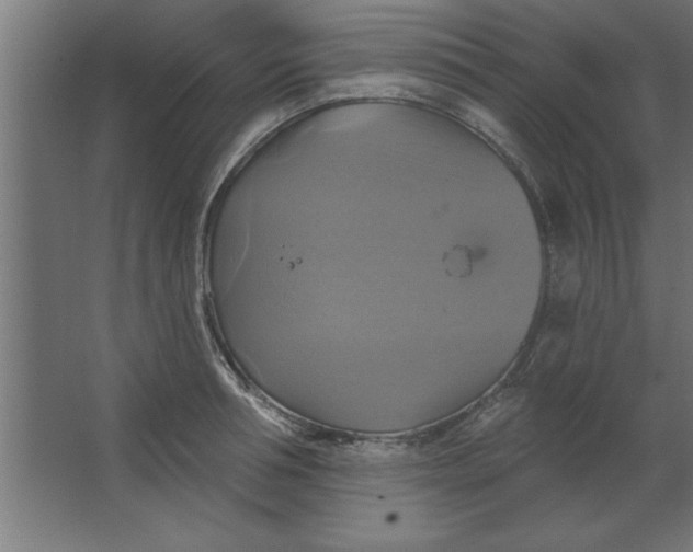 X0000067350994200604211957