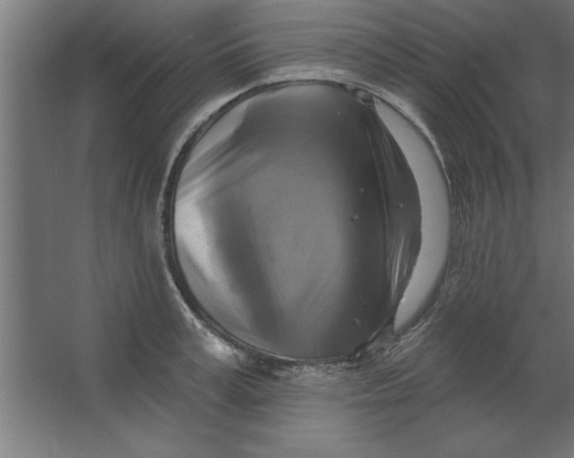 X0000067350995200604211957