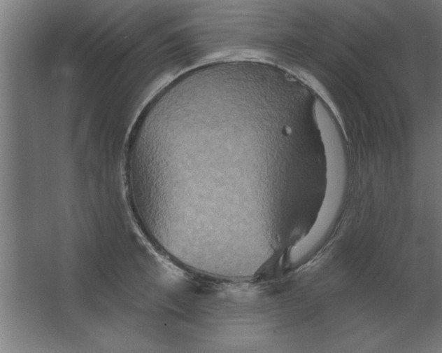 X0000067350997200604211957