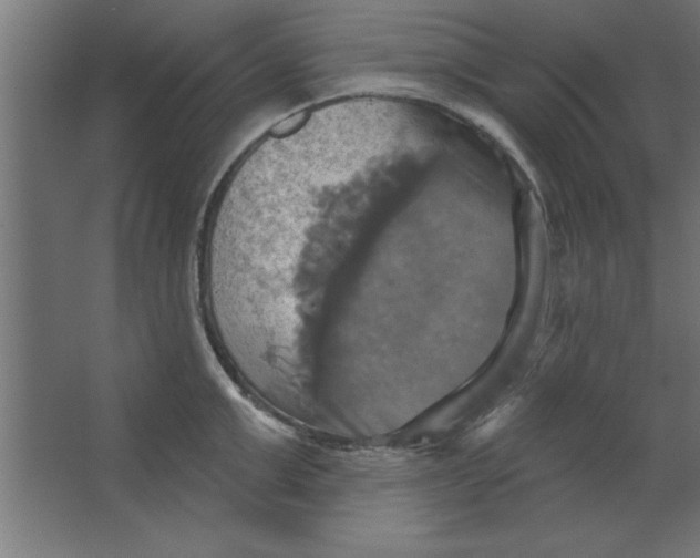 X0000067350999200604211957