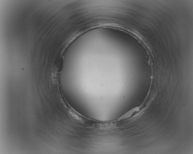 X0000067351001200604211957