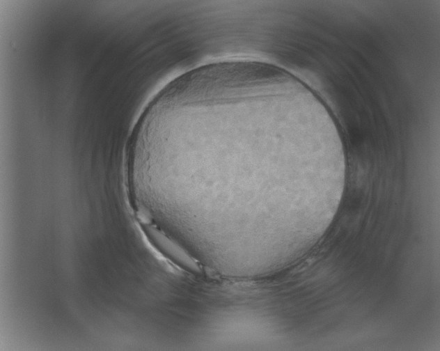 X0000067351006200604211956