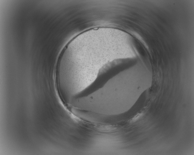 X0000067351007200604211956