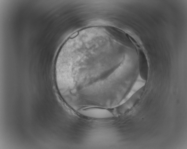 X0000067351008200604211956