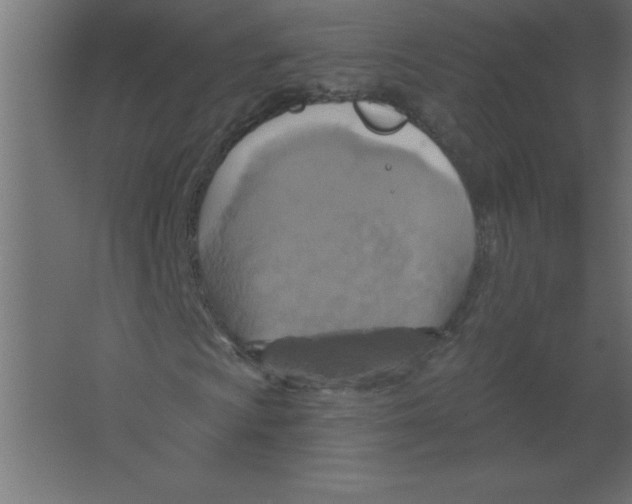 X0000067351009200604211956