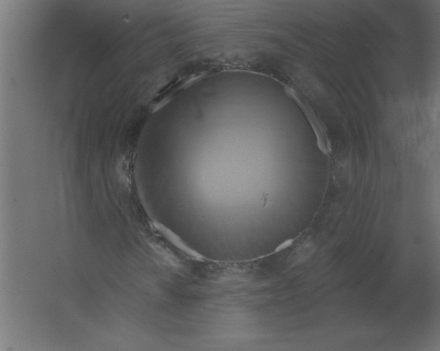 X0000067351010200604211956