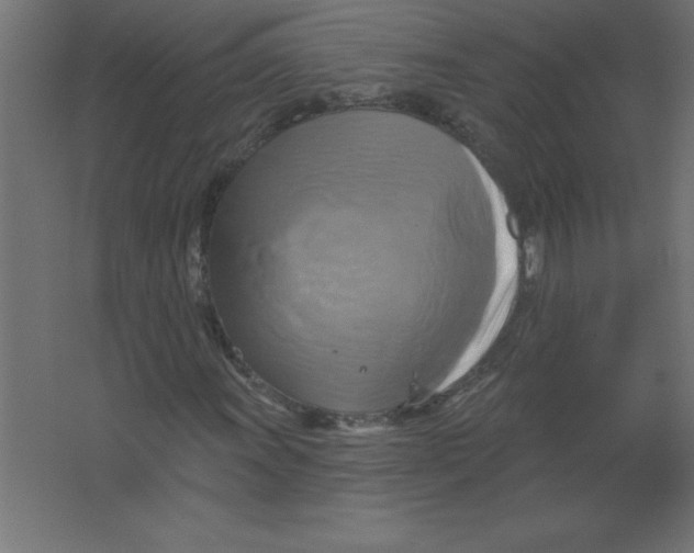 X0000067351011200604211956