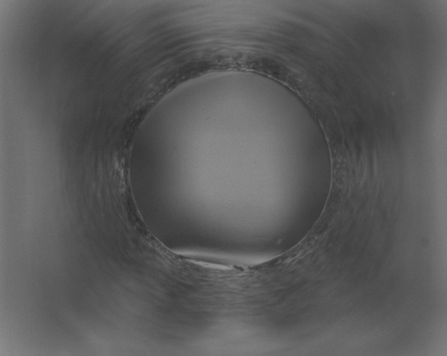 X0000067351013200604211956