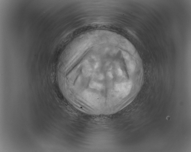 X0000067351015200604211956