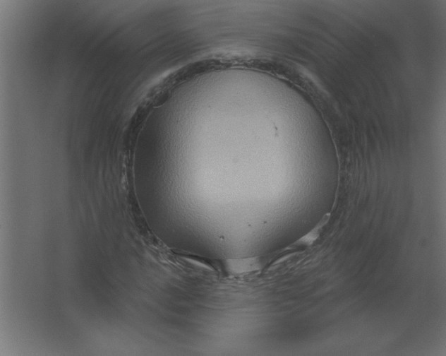 X0000067351016200604211956