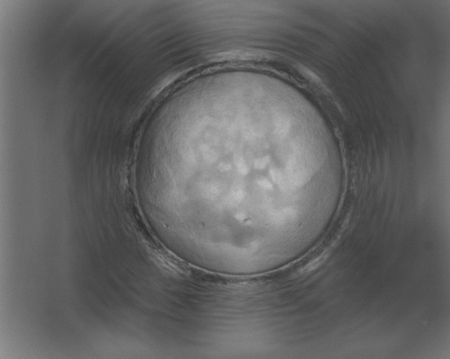 X0000067351017200604211956