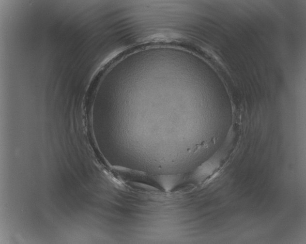 X0000067351018200604211956