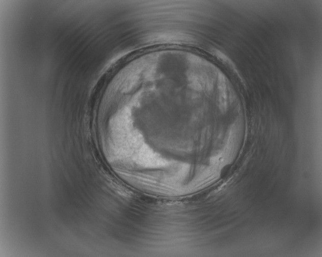 X0000067351019200604211956