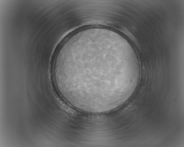 X0000067351020200604211956