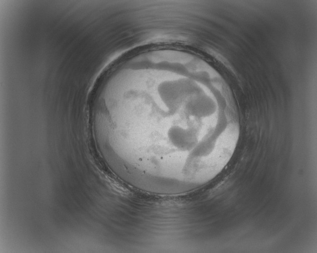 X0000067351021200604211956