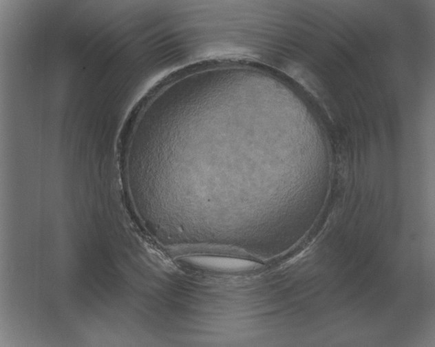 X0000067351022200604211956