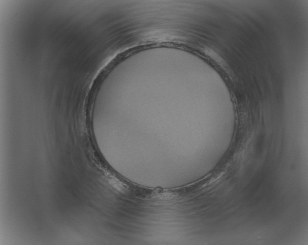 X0000067351023200604211956