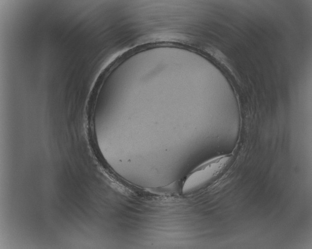 X0000067351024200604211956