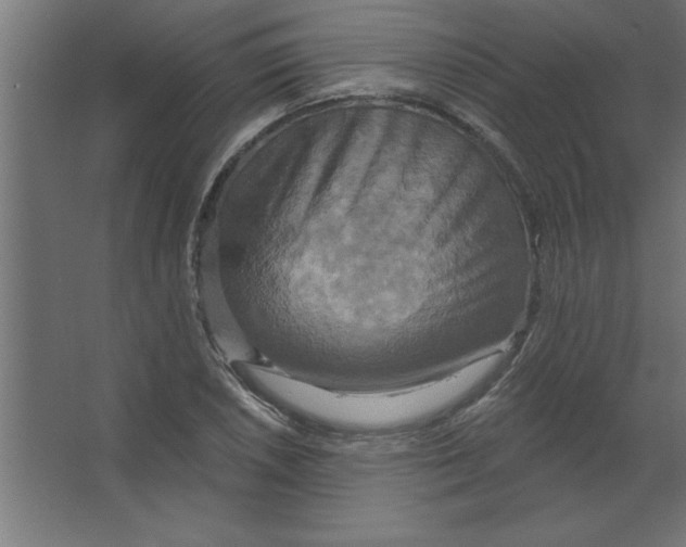 X0000067351026200604211956