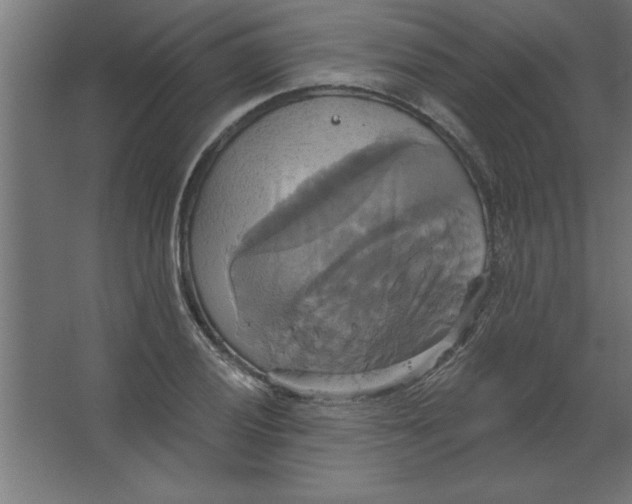 X0000067351028200604211956