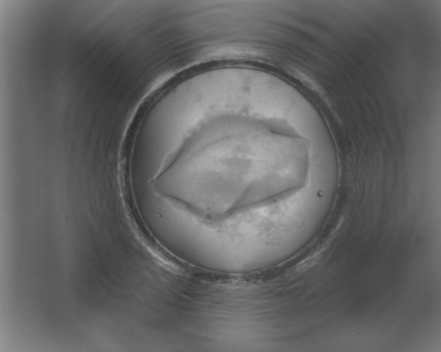 X0000067351029200604211956